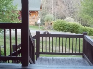 042415 Doves on the porch
