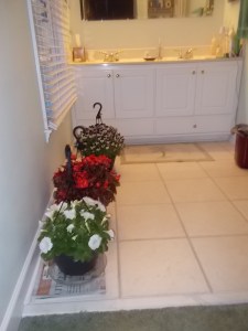 042415 Flowers in the bathroom