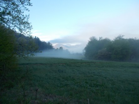 042815 Fog in the valley