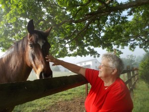 052015 Kathy pets stallion