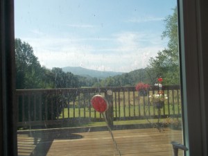 073015 Landscape broken by bird debris