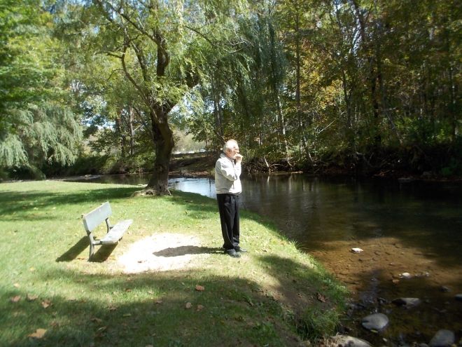 Al, thinking like a fish