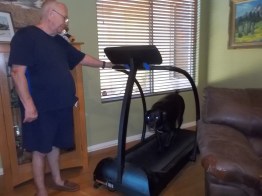 102415 Toby exercising on treadmill