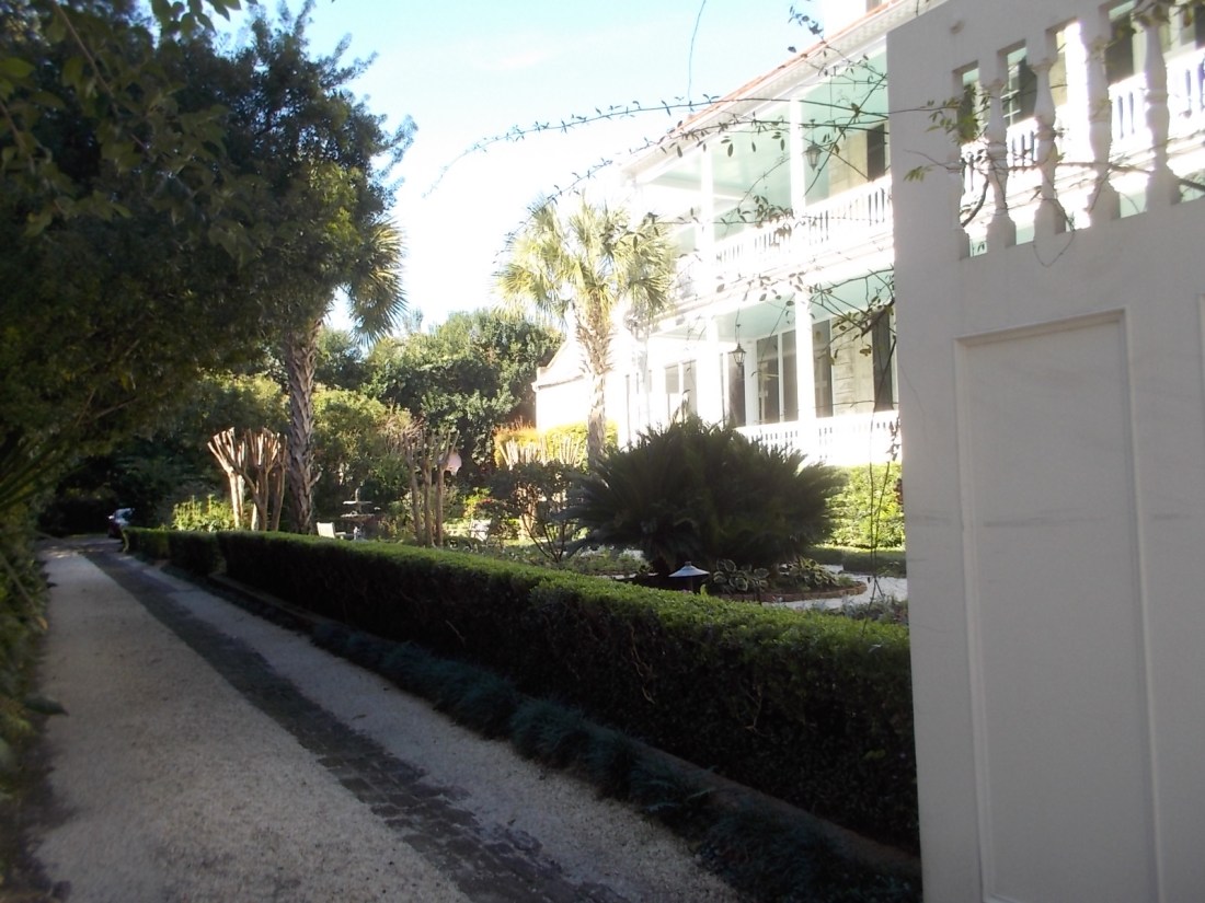 111415 Peeking in a garden in Charleston