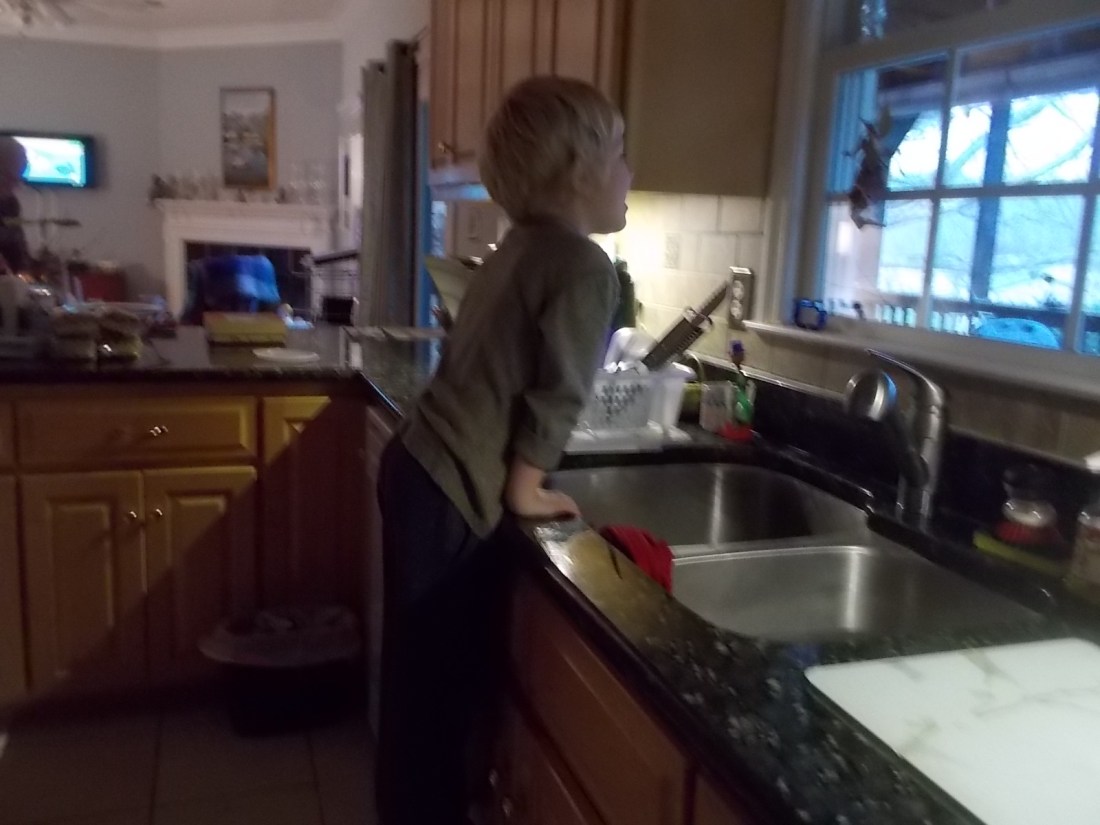 121115 Logan looks for horses.JPG