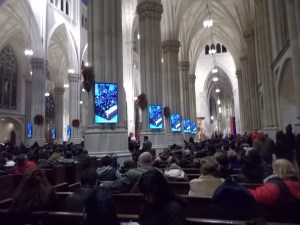 122015 St Patrick side section