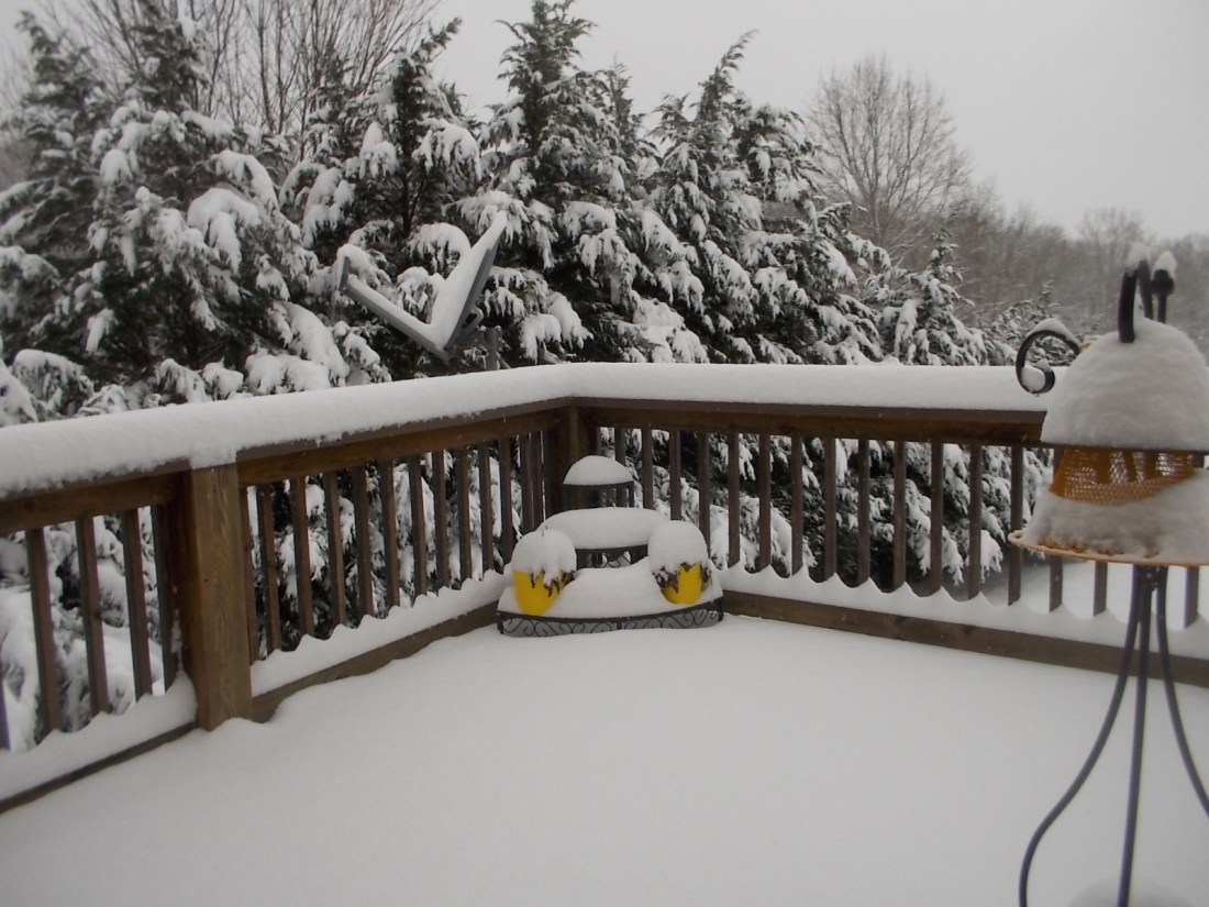 012216 Decked snow.JPG