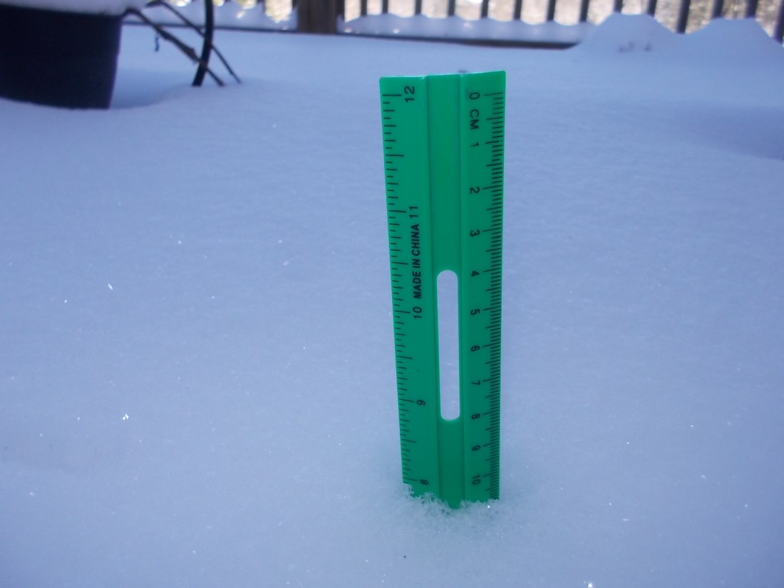 012416 Official Mehrling measure 8 inches.JPG