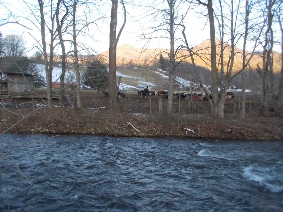 012916  Aroma of the Farm.JPG