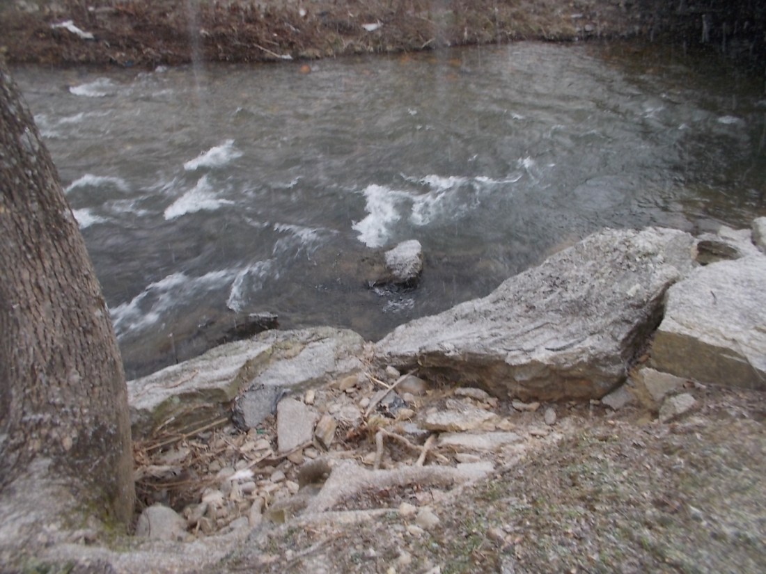 021216 Snow at J Creek.JPG