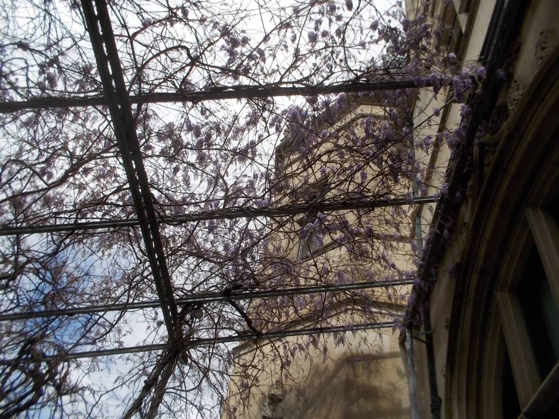 040116 Biltmore gardens (26).JPG