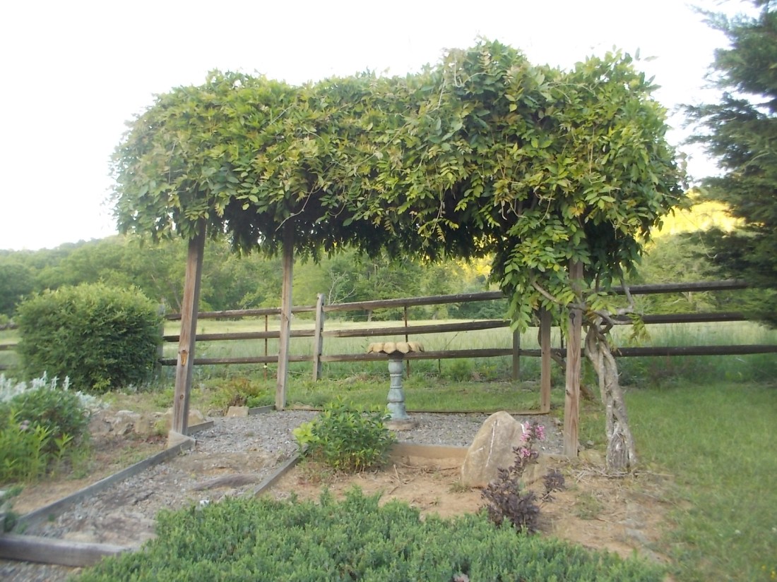 051616 Birdbath a surprise.JPG