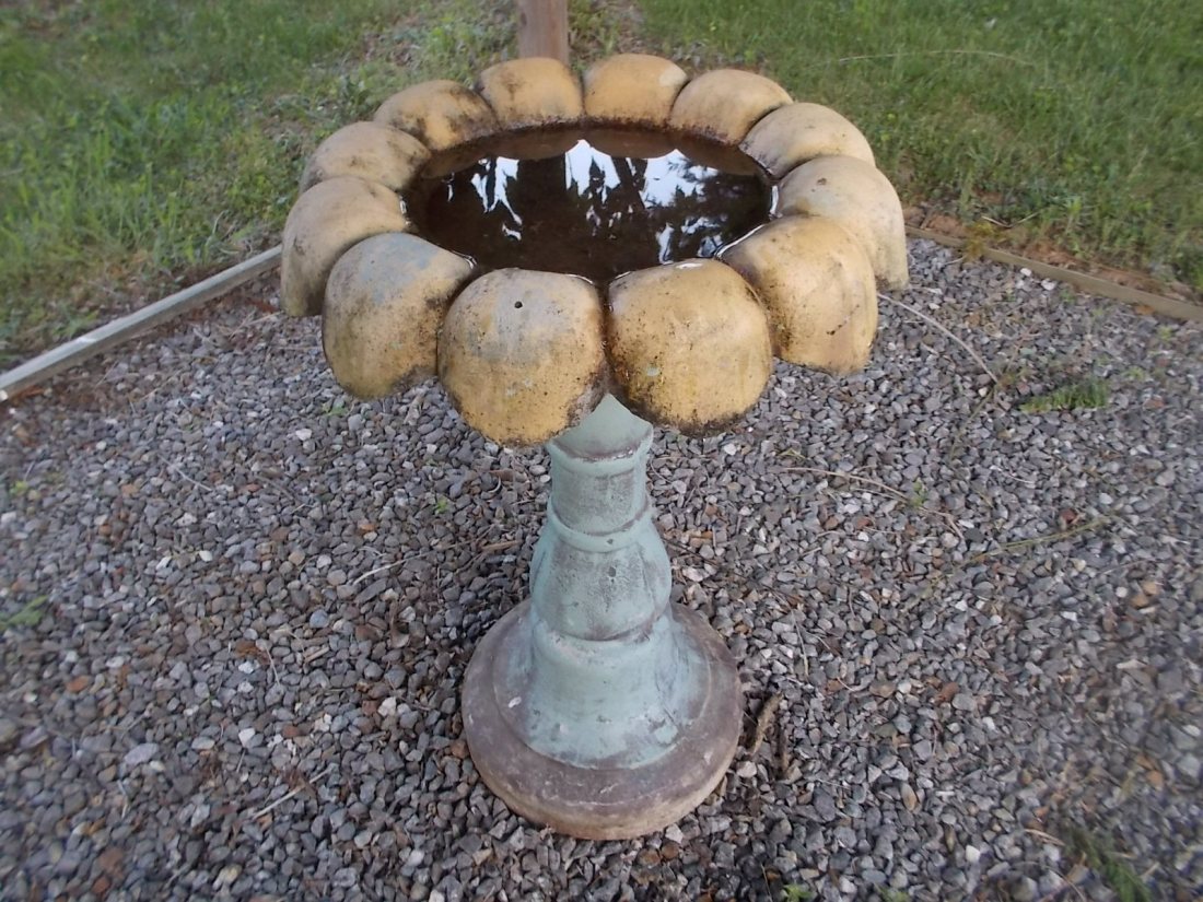 051616 Birdbath reflections.JPG