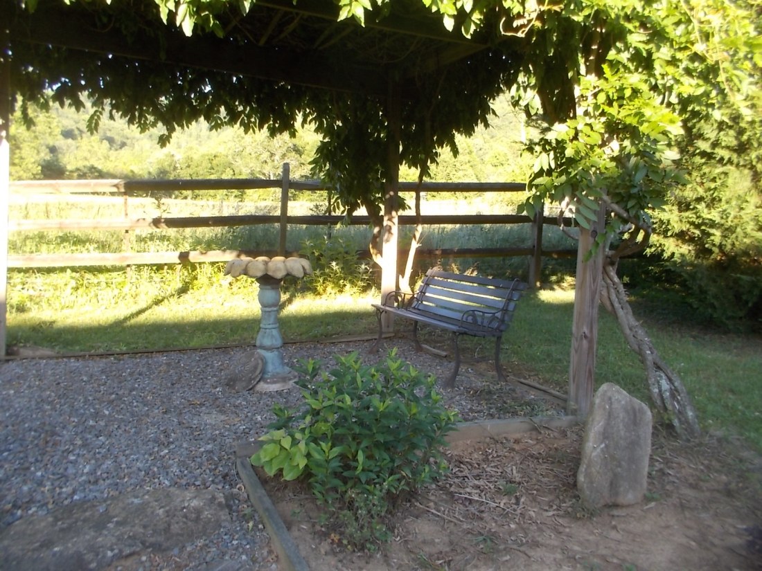 060816 Amy decorated our pergola.JPG