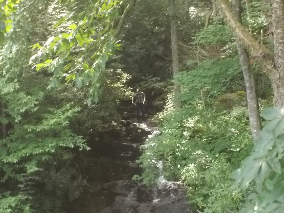 070616 D N at cascade stream