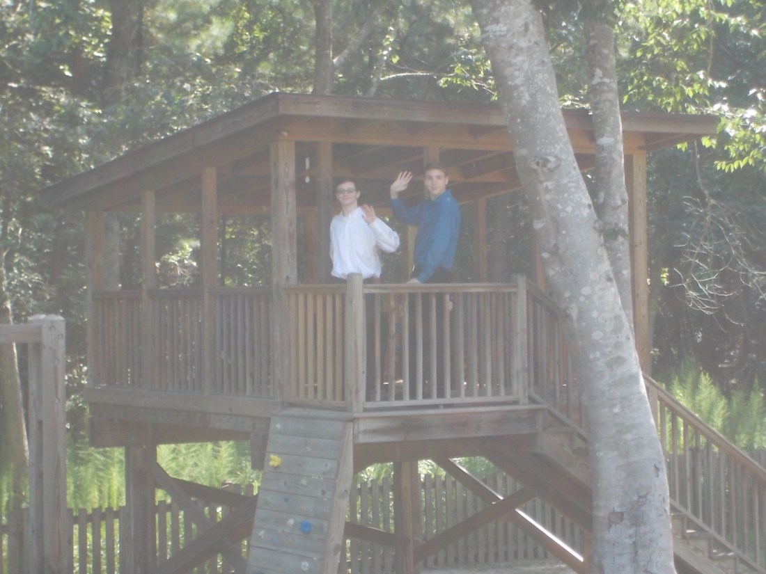 072416 Lamos tree house D N.JPG