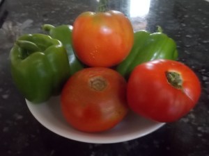 081216 Still life from neighbor's garden