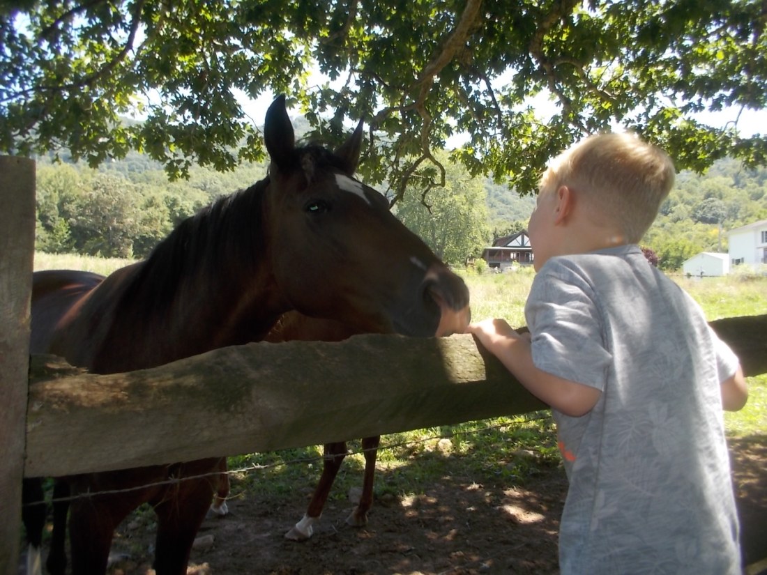 082216 Logan talks to DW.jpg