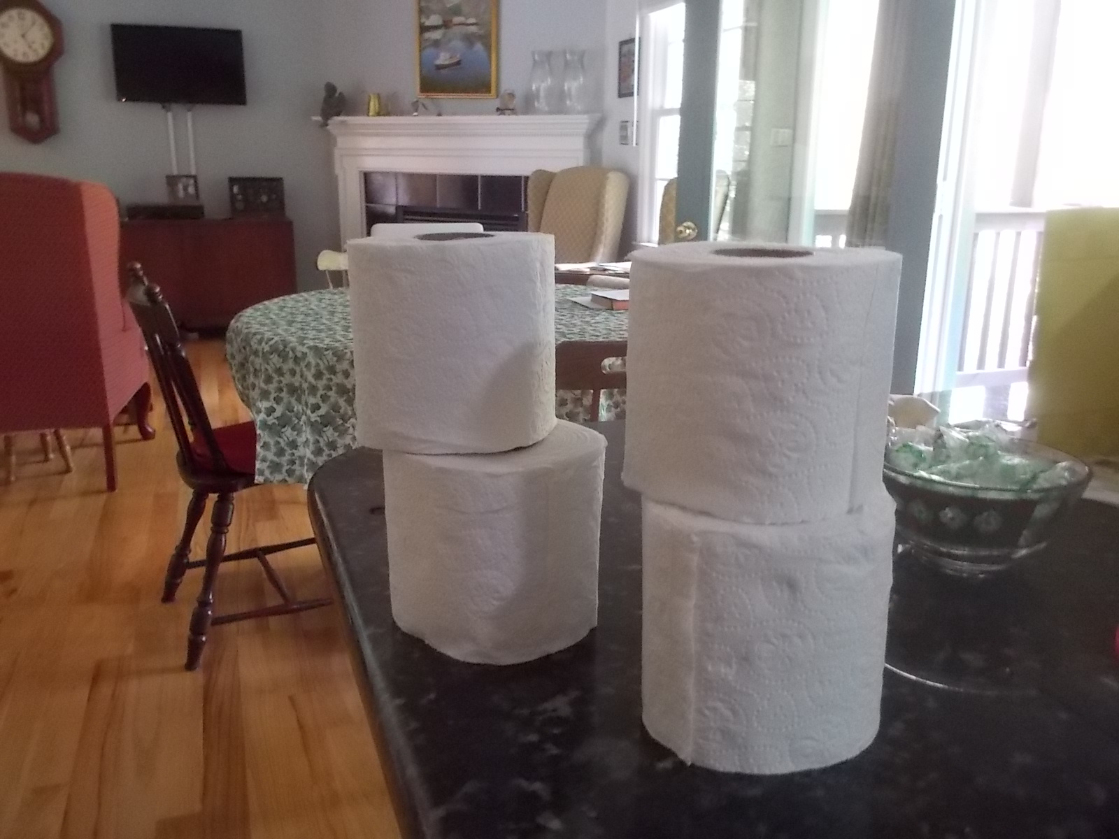 Is Toilet Paper Worth It? Mehrling Muse