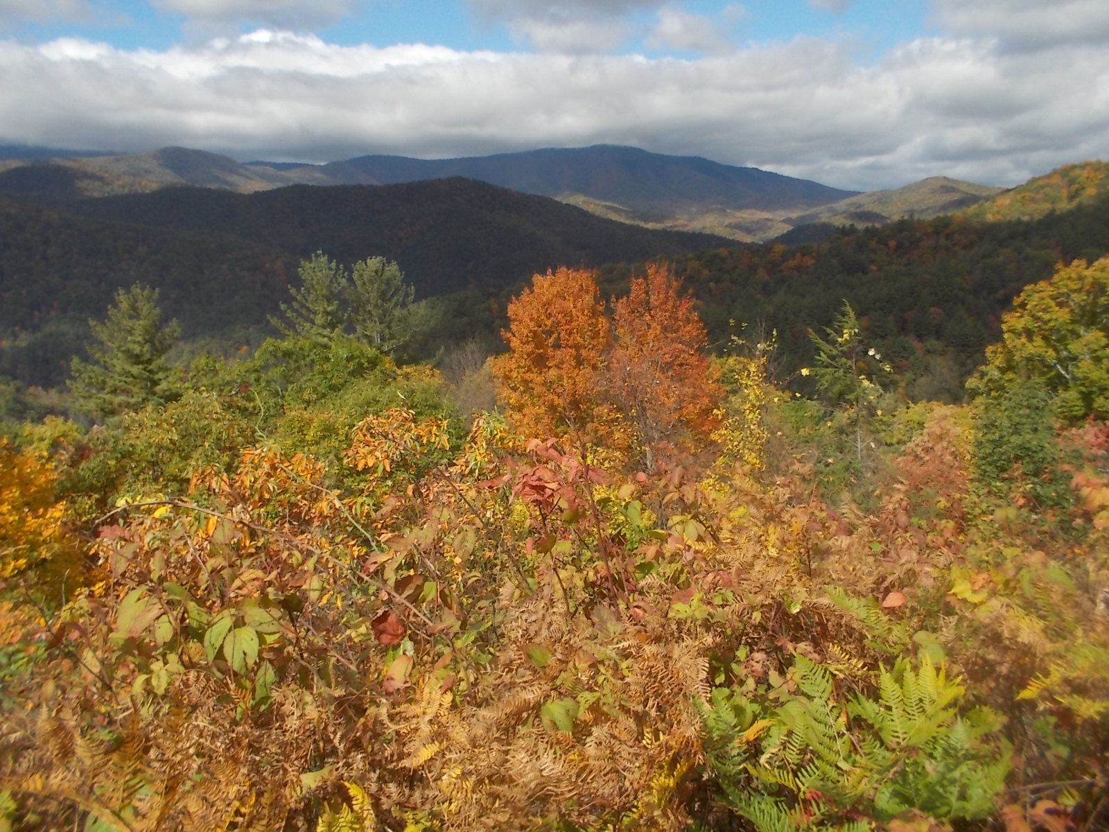 102216 Fall colors in Smoky Mnt Natl Park.jpg