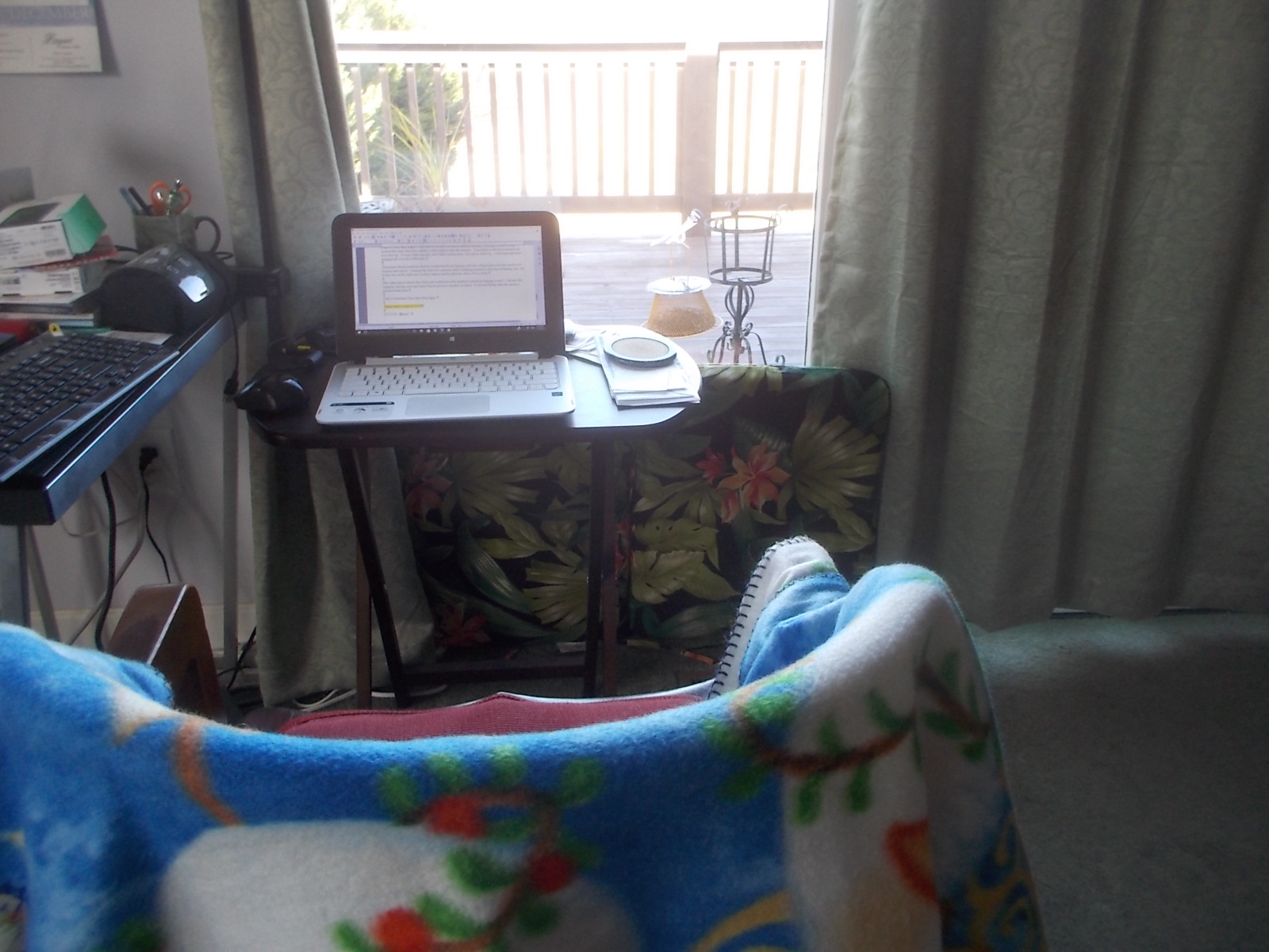 121516 My nest on a cold day.JPG