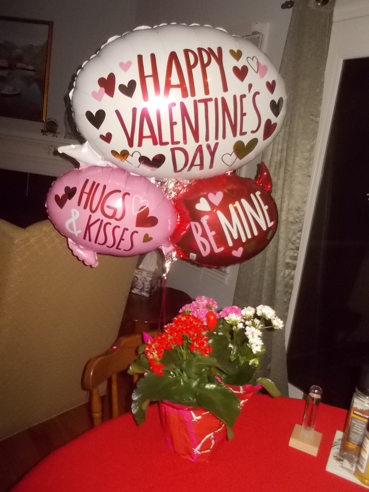 021417 Balloon and plant.jpg