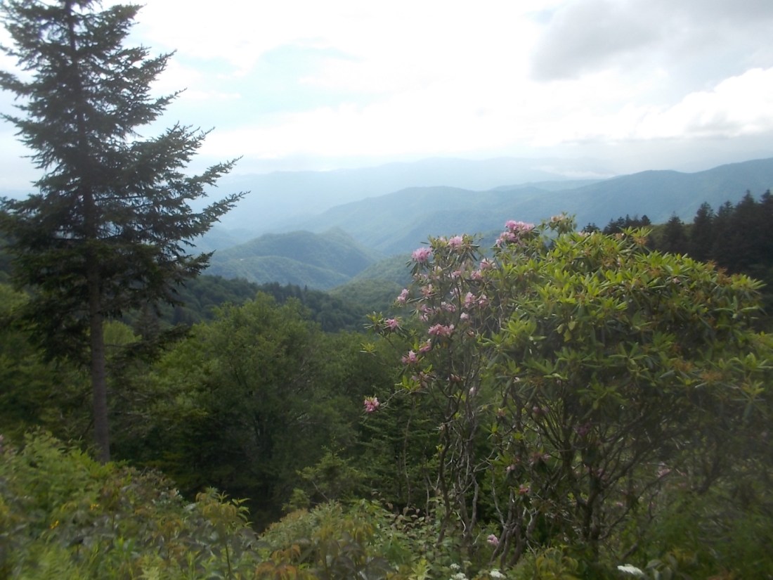 061517 Blue Ridge Parkway.JPG