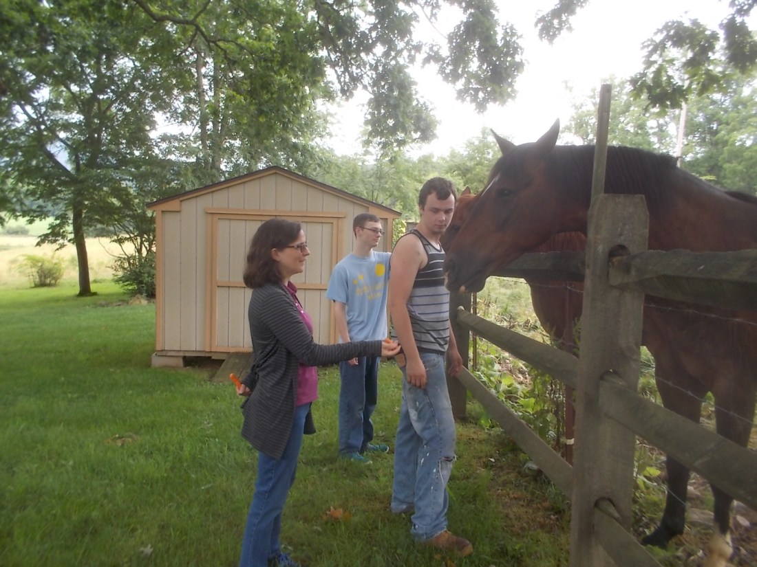 062217 K D Dennis feed horses.jpg