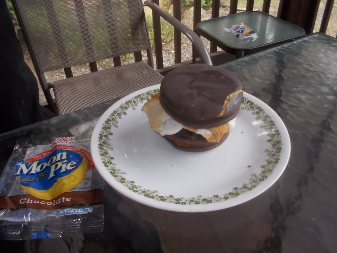 081017 Moonpie S'more on National S'mores Day.jpg