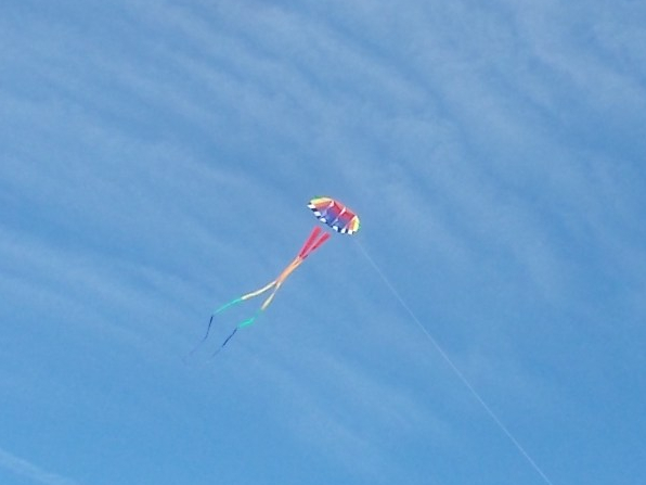 100117 Kite strolls through sky