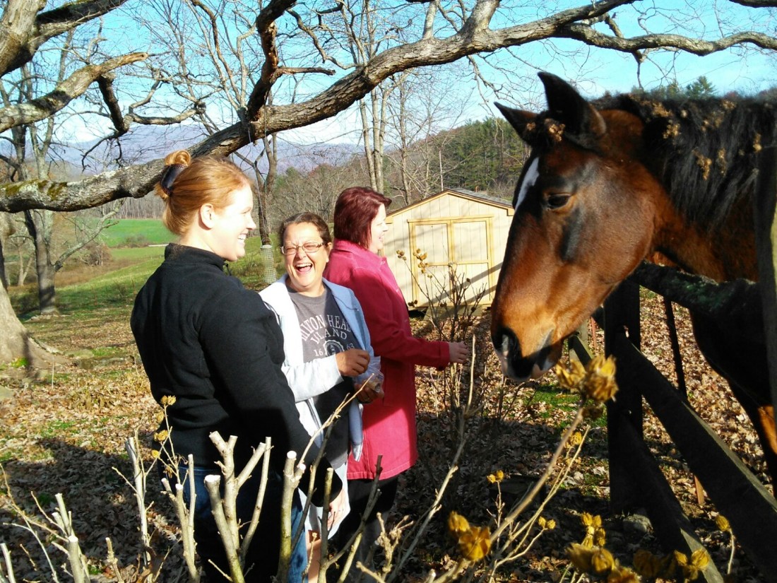 111117 Barbara Kim Chrissie feed horses.jpg