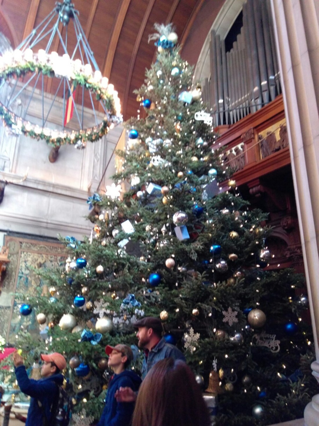 112717 Biltmore Christmas tree.jpg