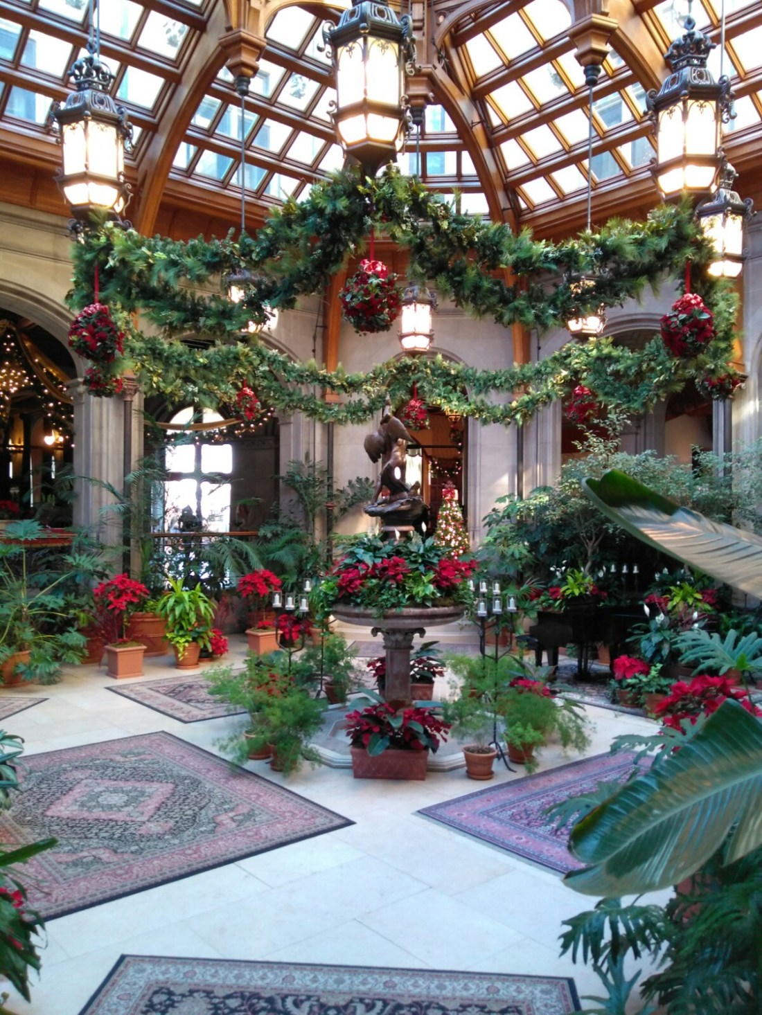 112717 Biltmore sinter garden 3.jpg
