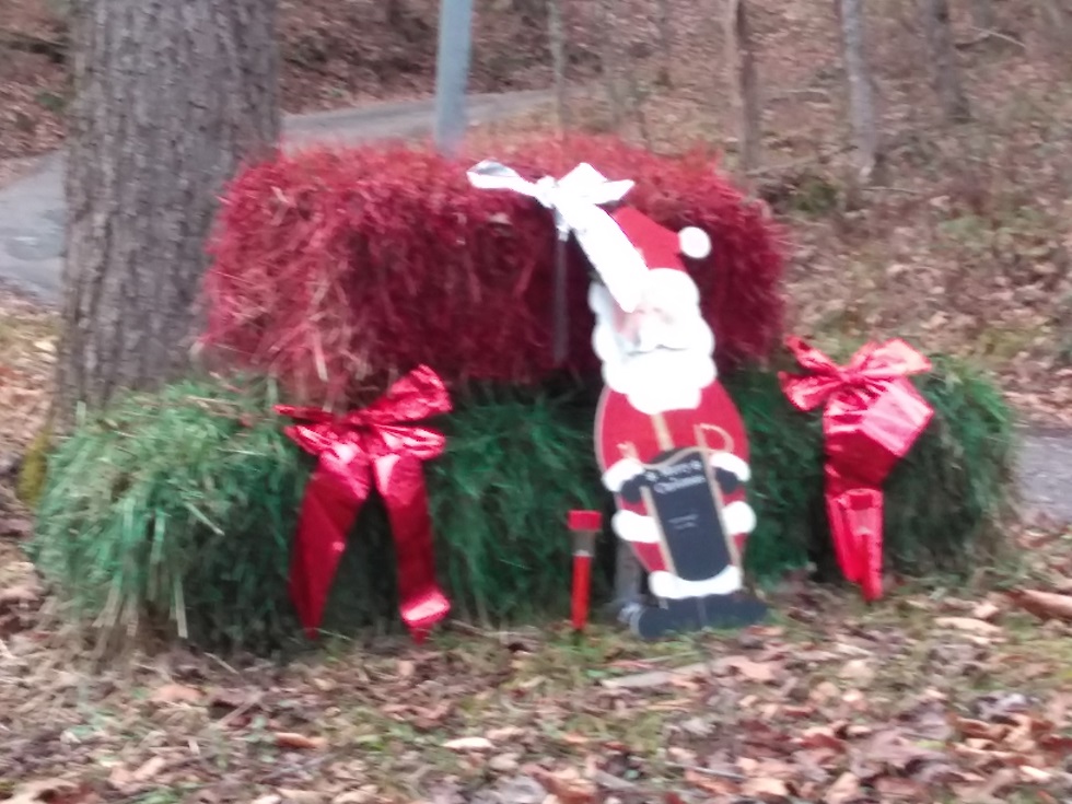 120717 Mountain Christmas decoration.jpg