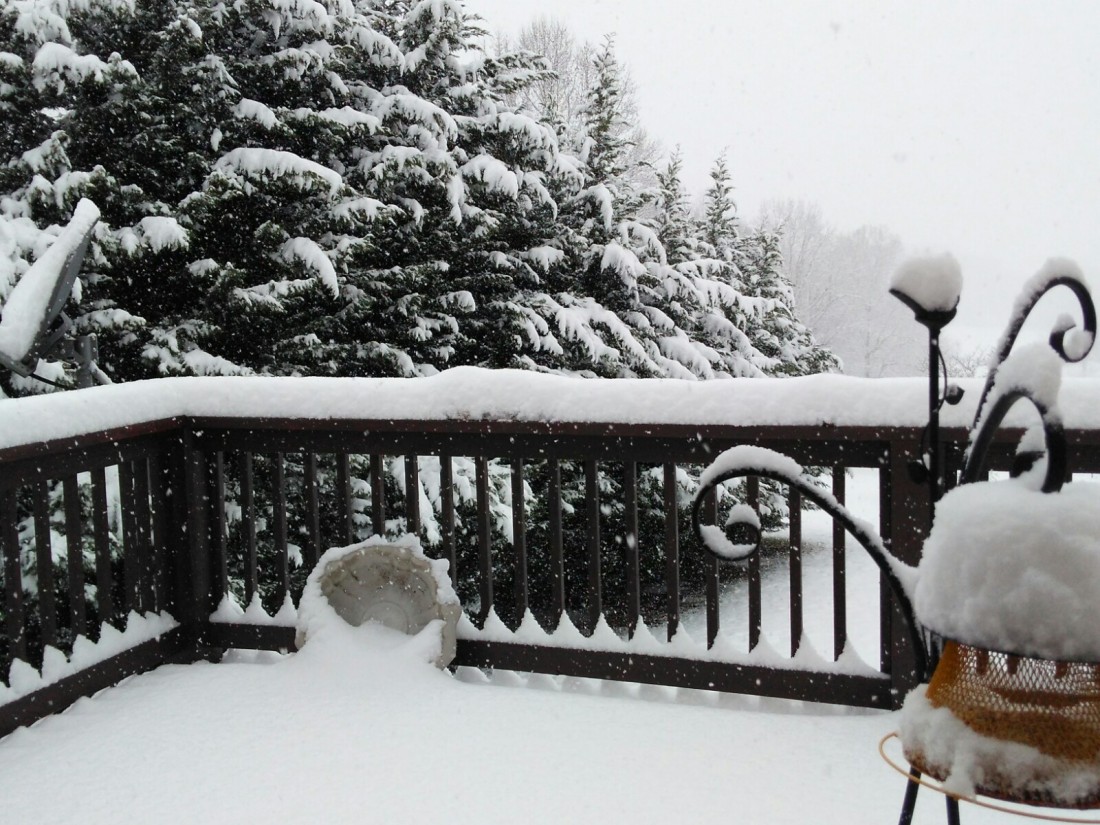120817 Snow on the deck.jpg