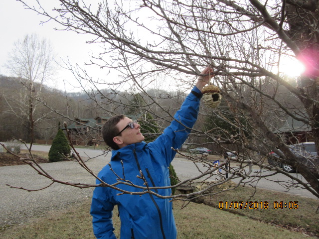 010718 David hangs Patty Pocket for birds.JPG