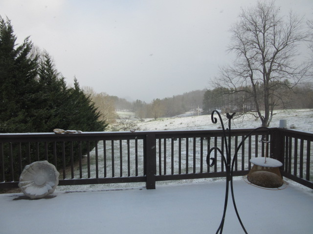 030718 Sun shines on falling snow.JPG