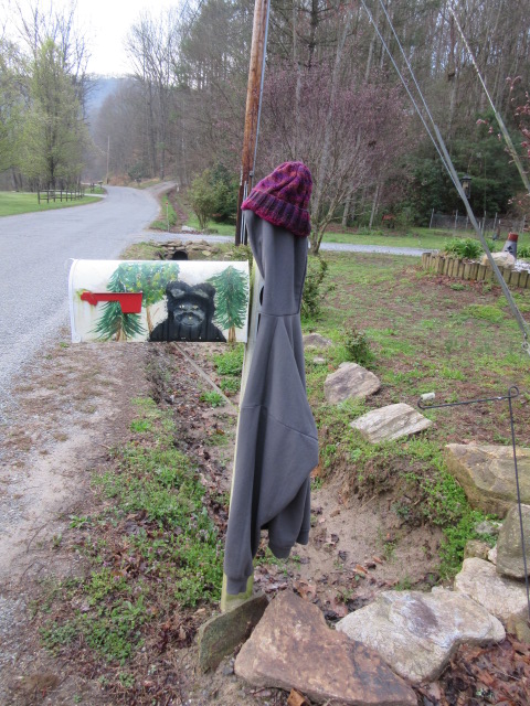 040318 My shedding post.JPG