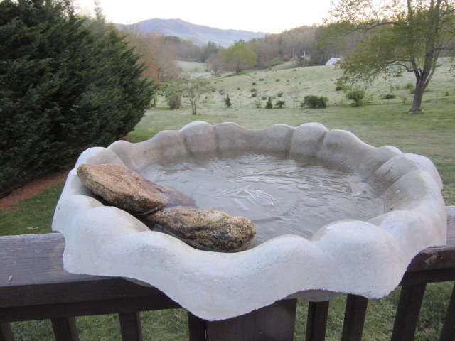 043018 Ice on birdbath.JPG