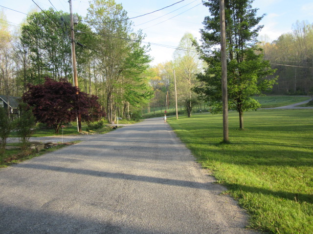 050318 Logan not zoomed.JPG