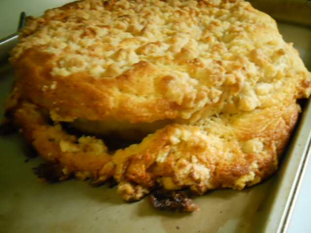 060112 Cake laughs at me.jpg