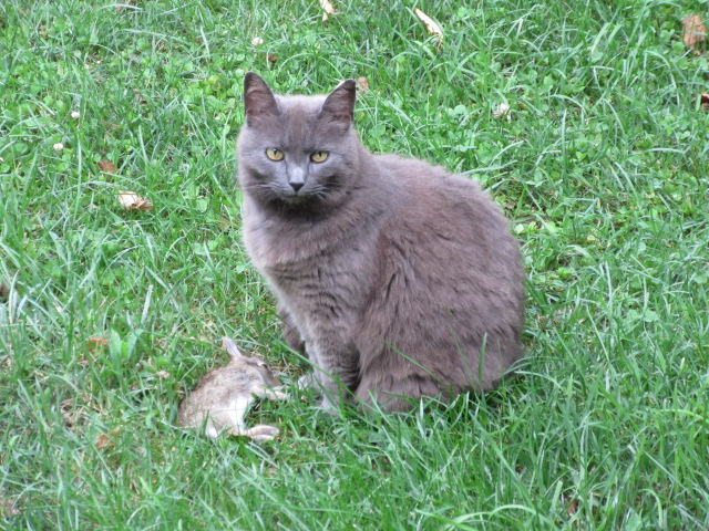 071918 JasMINE.JPG