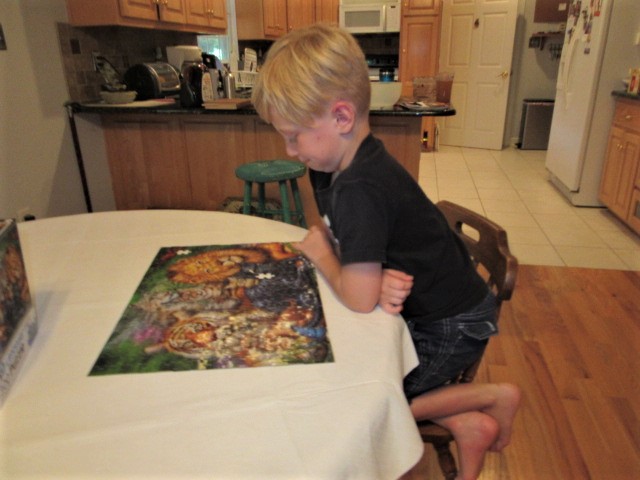 072318 Logan finishes our puzzle.JPG