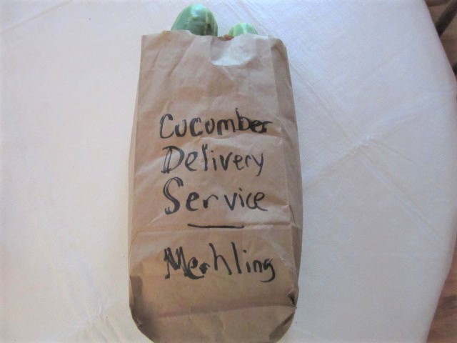 072918 Cute cukes.JPG