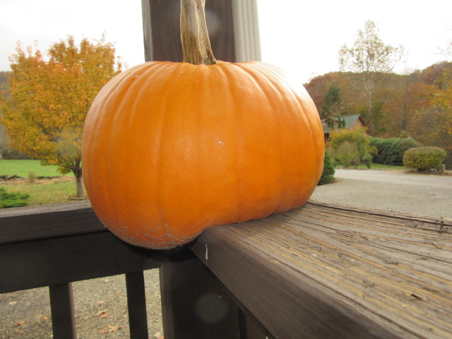 110218  Flabby Butt Pumpkin.JPG