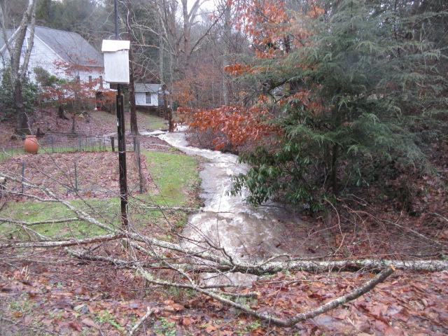 122818 Park Branch overflowing.JPG