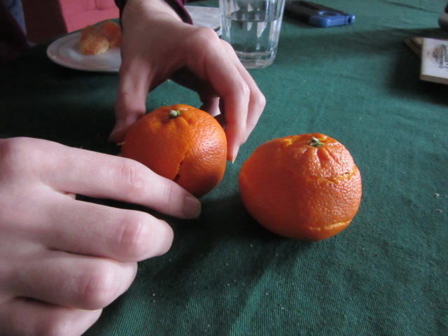 031519 David's orange and mine.JPG
