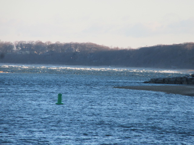 040119 Whitecaps on West Meadow Beach.JPG