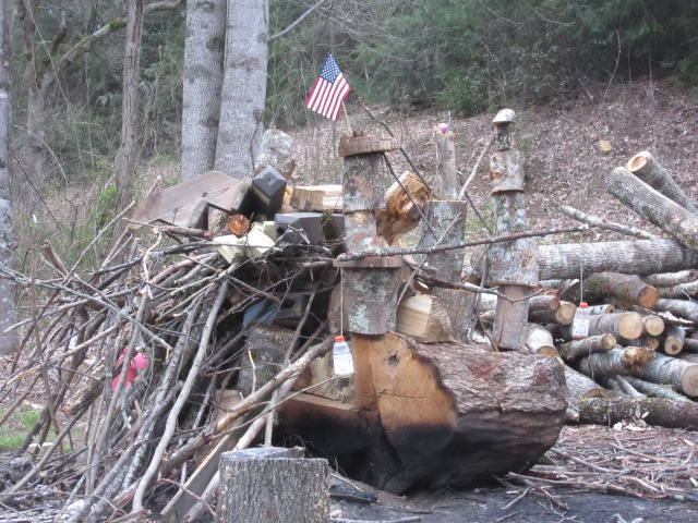 040619 Landscaper's burn pile art.JPG